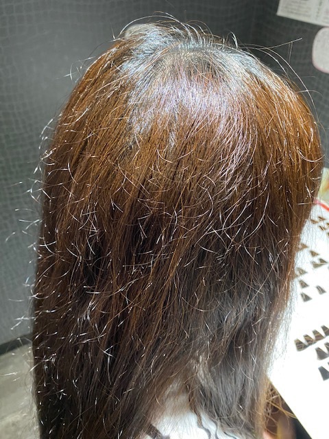 髪質改善 縮毛矯正 ブログ 宇都宮のヘアケア トリートメントに特化した美容室グロース Hair Dressing Growthの森